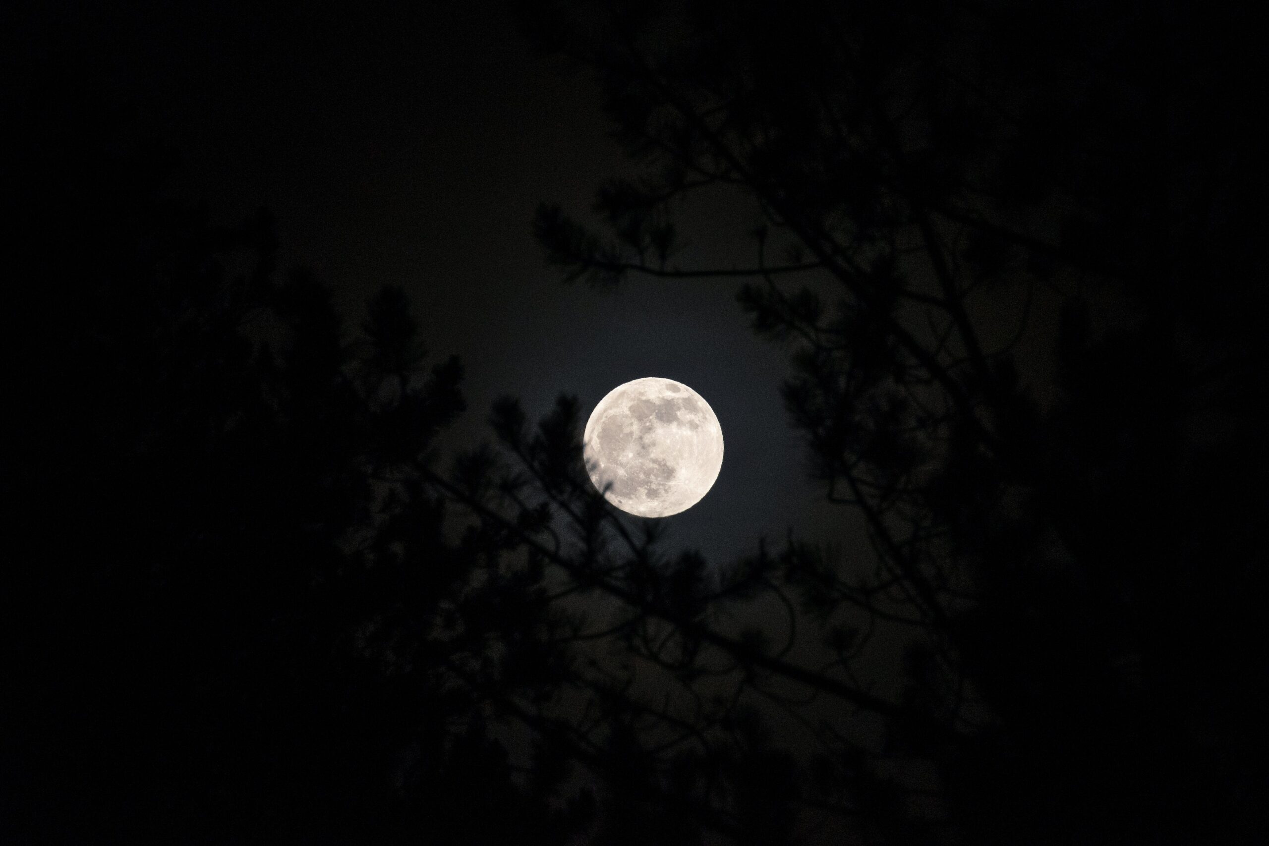 Superluna de Septiembre en México: Fecha, Hora y Consejos para Disfrutar el Espectáculo Lunar