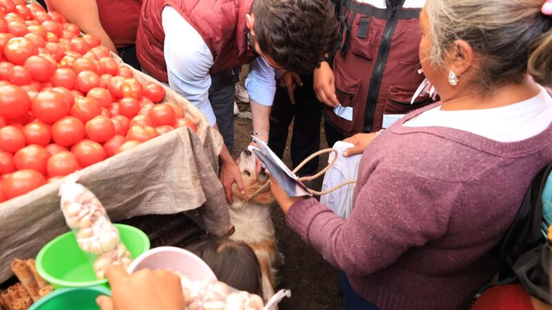 La protección a la vida animal empieza por la educación: Rodrigo Abdala