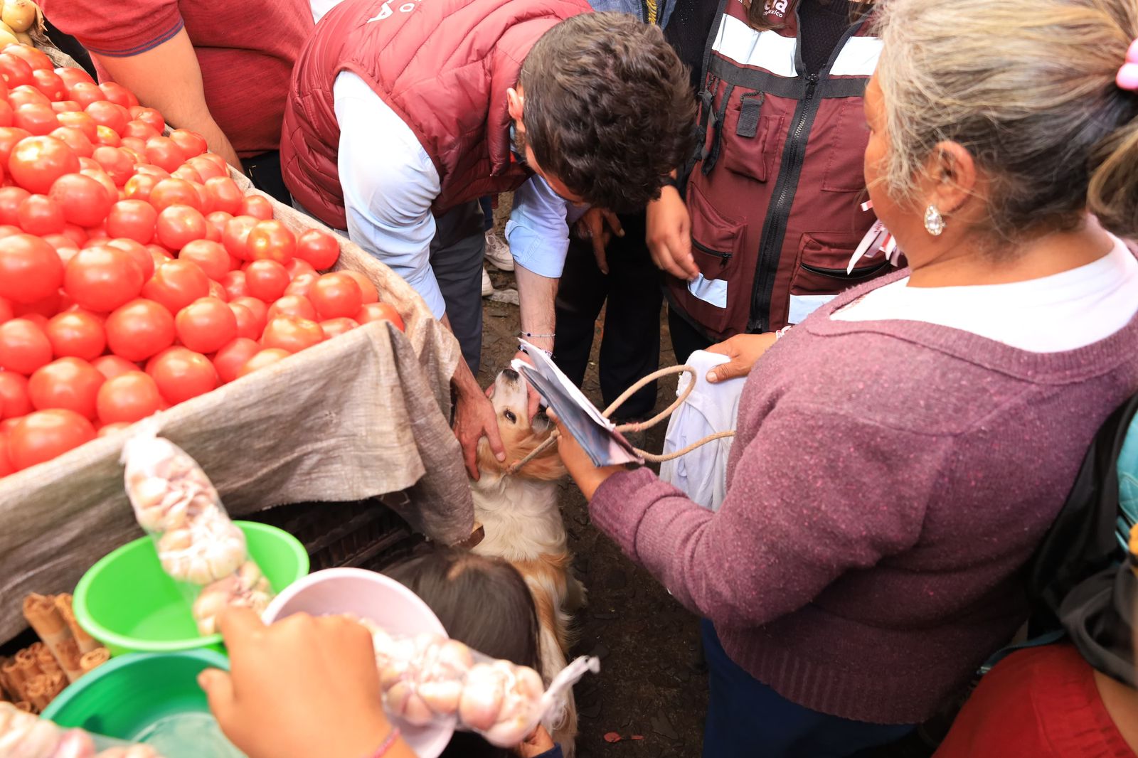 La protección a la vida animal empieza por la educación: Rodrigo Abdala