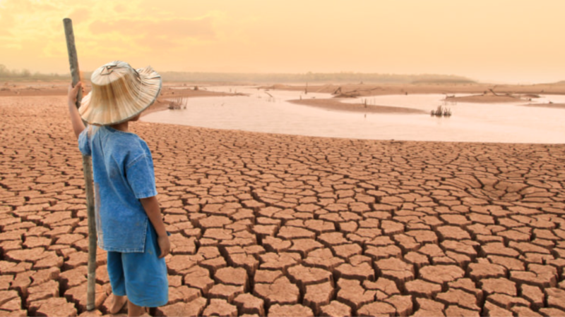 Cambio Climático en México: desafíos para agricultura y turismo