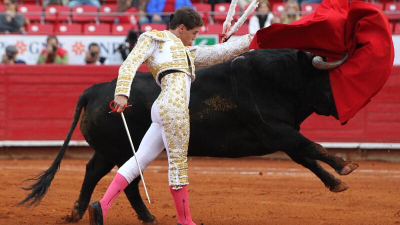 SCJN autoriza temporalmente la reanudación de corridas de toros en la Plaza México