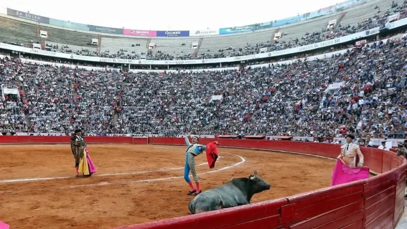 AMLO propone consulta cudadana sobre corridas de toros en CDMX: decisión en manos del pueblo