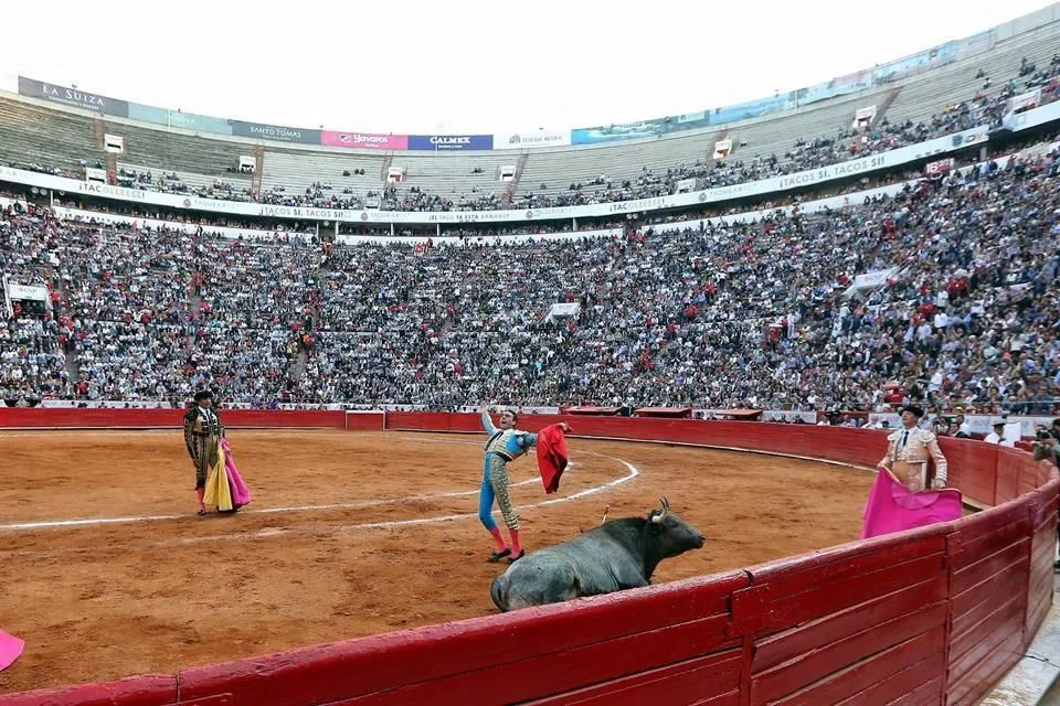 AMLO propone consulta cudadana sobre corridas de toros en CDMX: decisión en manos del pueblo