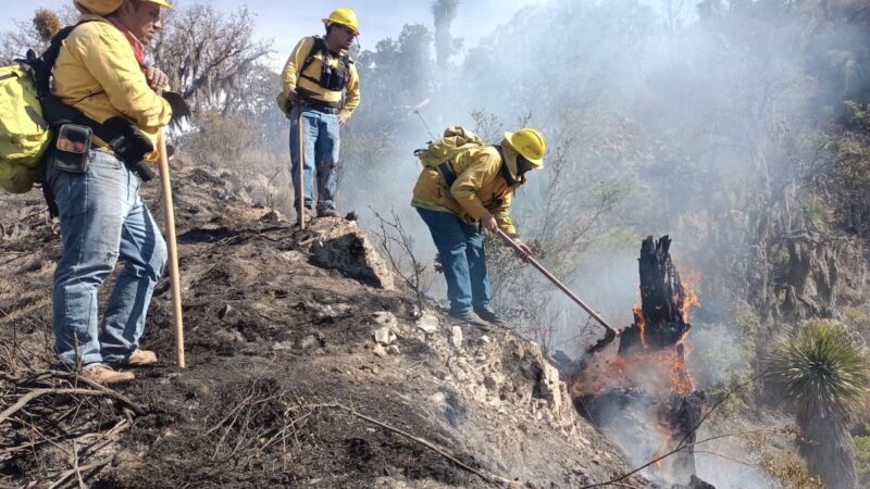 Gobierno Estatal y eentro Estatal de Manejo del Fuego garantizan cuidado ambiental en Puebla