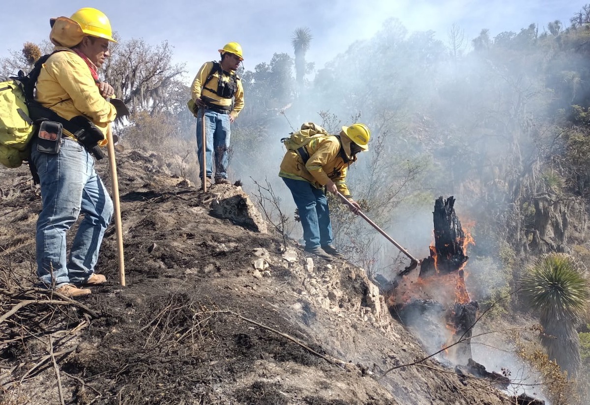 Gobierno Estatal y eentro Estatal de Manejo del Fuego garantizan cuidado ambiental en Puebla