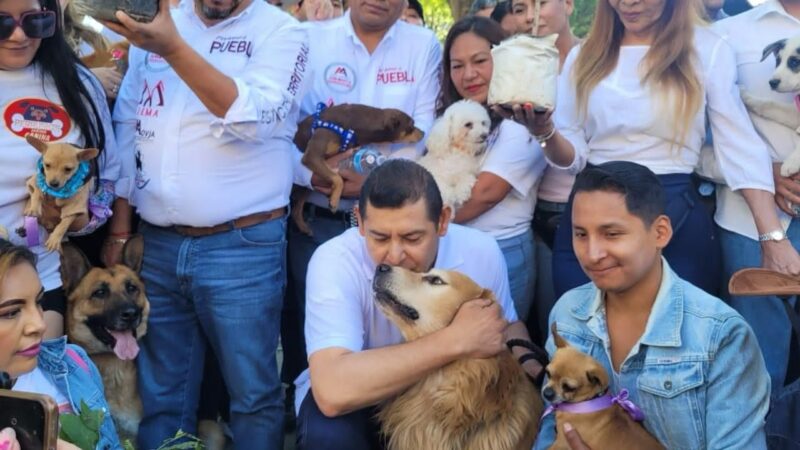 Alejandro Armenta trabaja por el bienestar animal