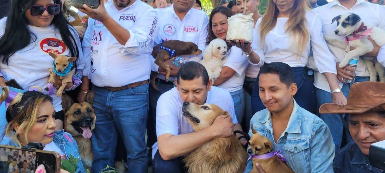 Alejandro Armenta trabaja por el bienestar animal