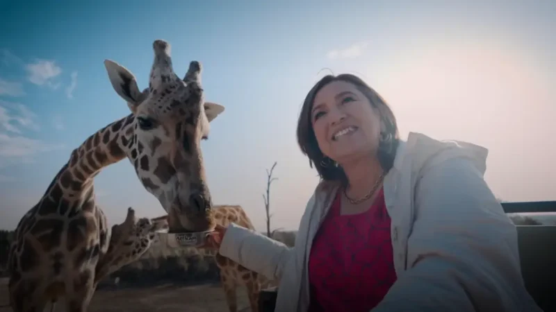 Xóchitl Gálvez Ruiz visita a Benito en Africam Safari y destaca la historia que unió a los mexicanos