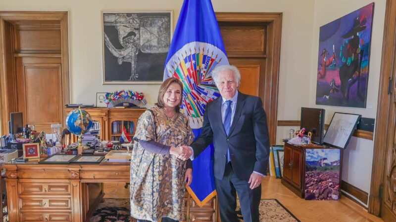 Xóchitl Gálvez solicita Observadores de la OEA para elecciones: Preocupaciones y controversias