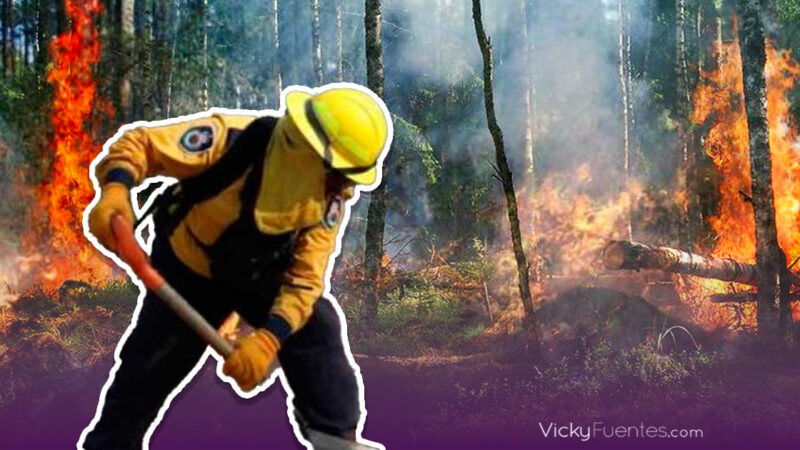 Avances en la lucha contra incendios forestales en Puebla