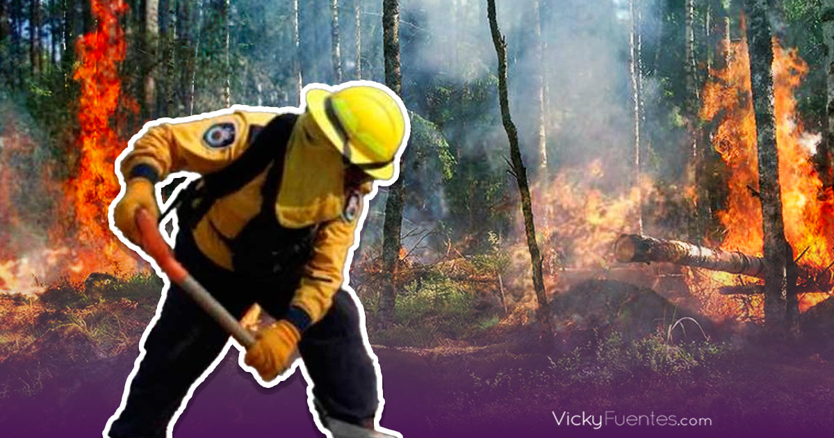 Avances en la lucha contra incendios forestales en Puebla