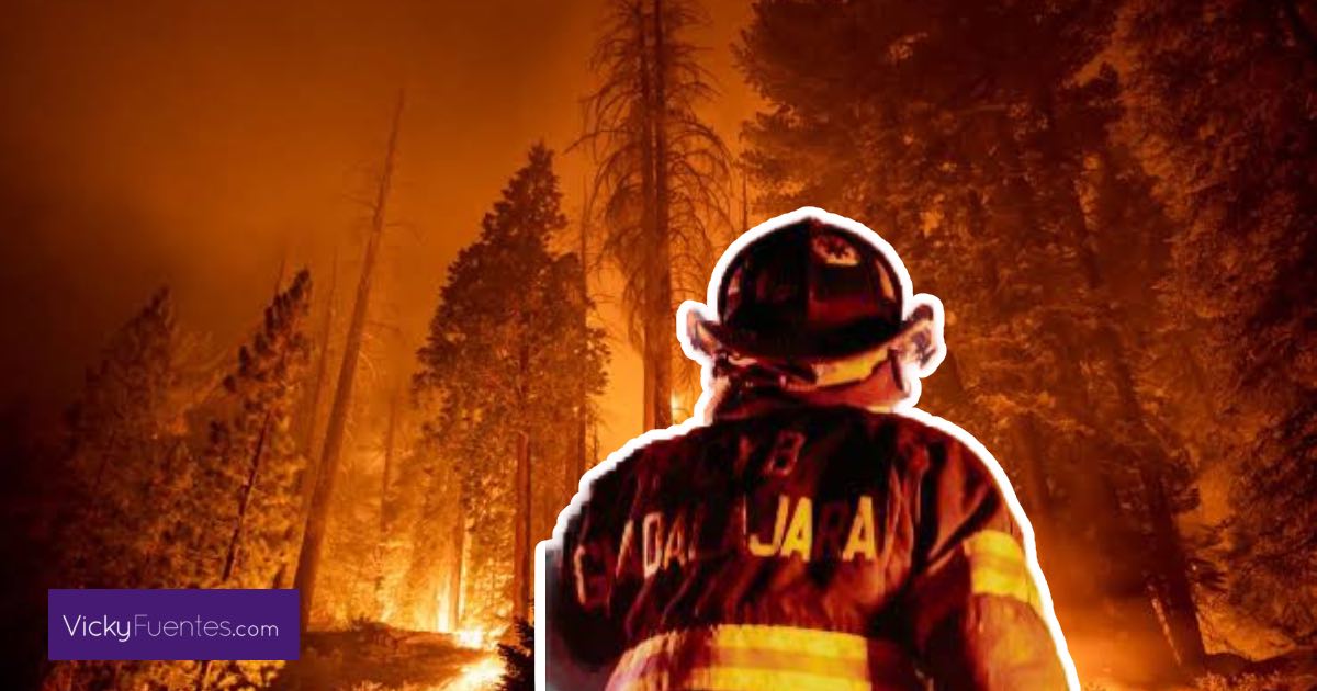 Incendios forestales en Puebla afectan más de 200 hectáreas este año: Conafor