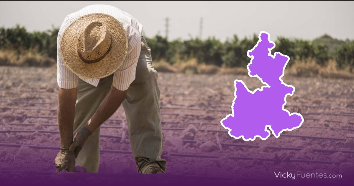 El cambio climático afecta más del 90% del sector agropecuario en Puebla, según datos del INEGI