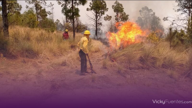 Incendios forestales en Puebla dejan 360 hectáreas de zonas verdes dañadas y dos brigadistas fallecidos