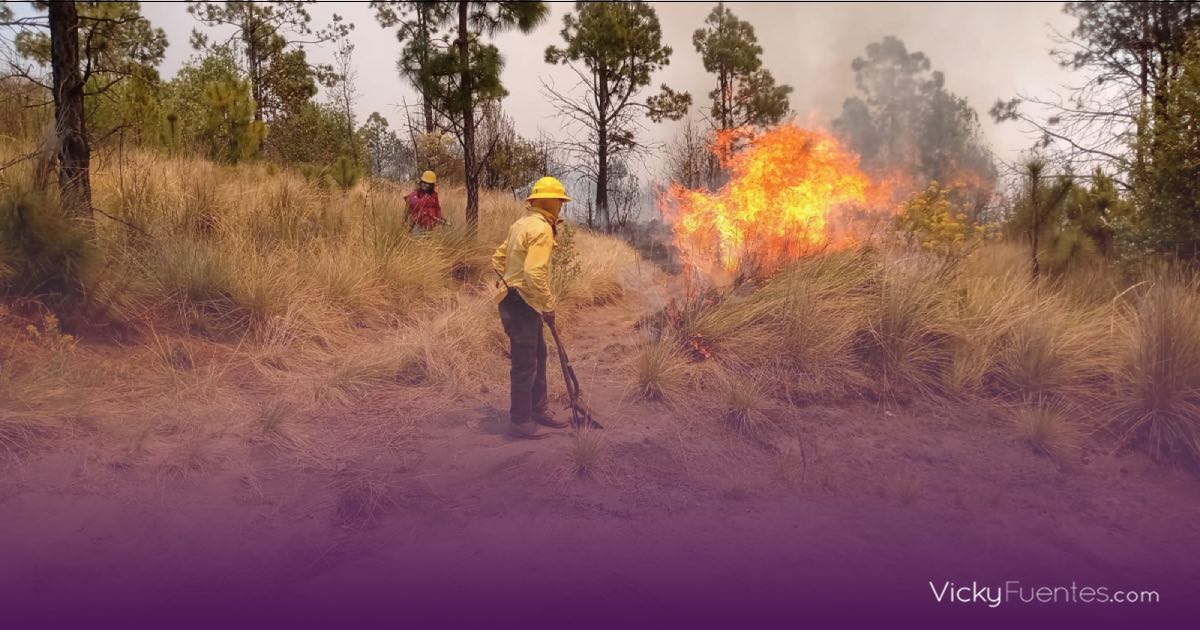 Incendios forestales en Puebla dejan 360 hectáreas de zonas verdes dañadas y dos brigadistas fallecidos