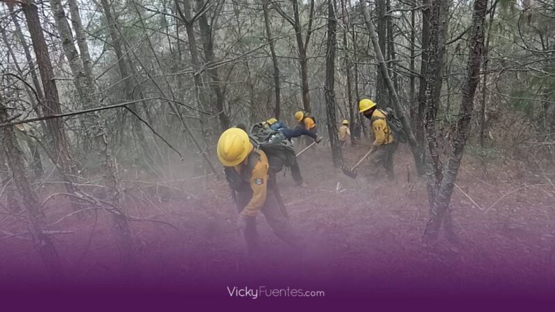 Gobierno de Puebla actúa con firmeza contra incendios forestales y exhorta a denunciar