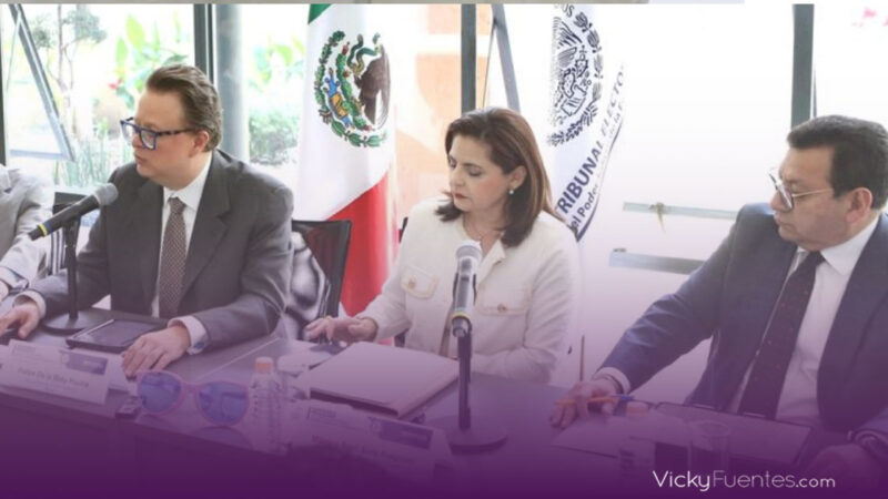 México recibe el triple de observadores electorales internacionales para las elecciones de 2024