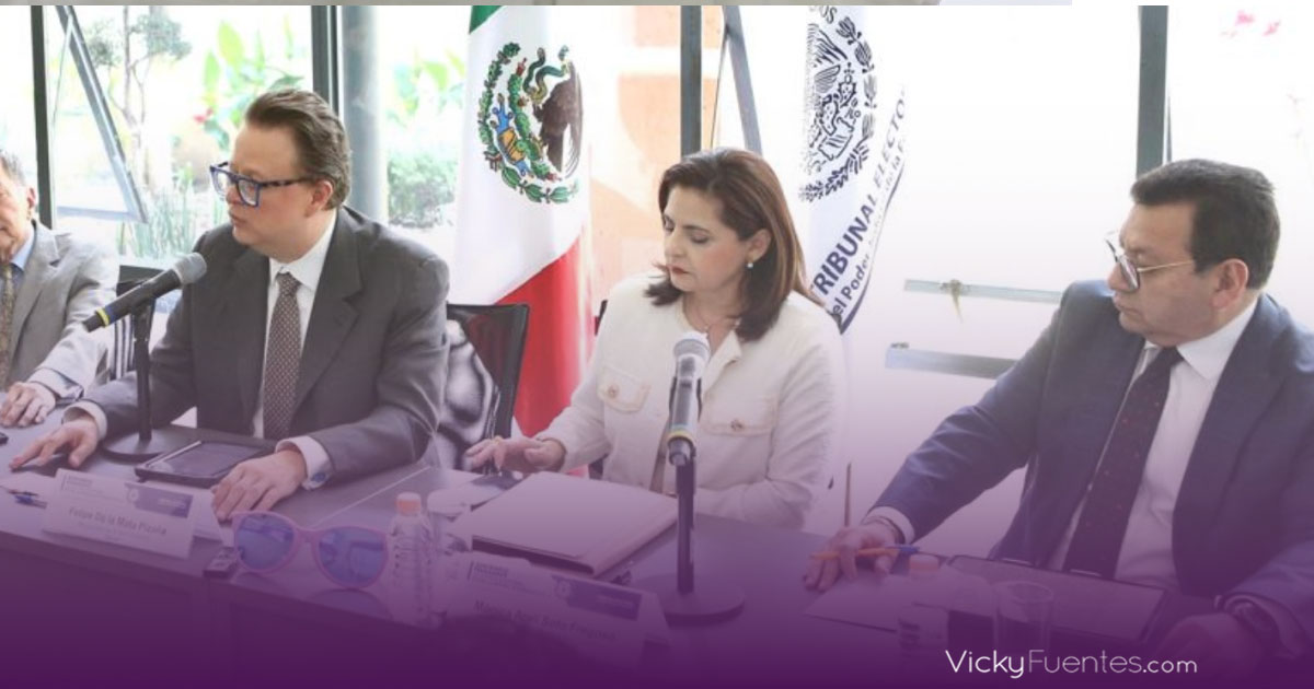 México recibe el triple de observadores electorales internacionales para las elecciones de 2024