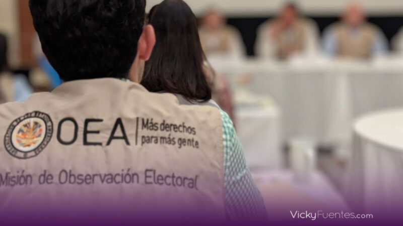 OEA preocupada por violencia en México, pero confía en elecciones seguras