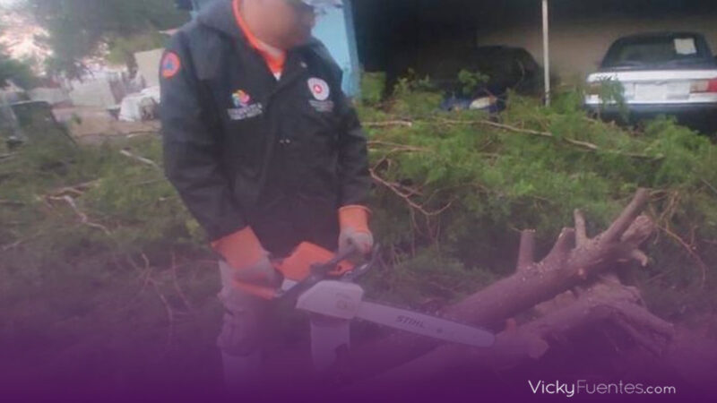 Protección Civil de Huamantla responde rápidamente a afectaciones por lluvias