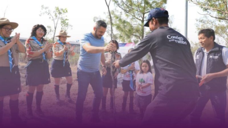 Reforestación en Puebla: Mil Árboles Plantados en el Parque del Cerro de Amalucan