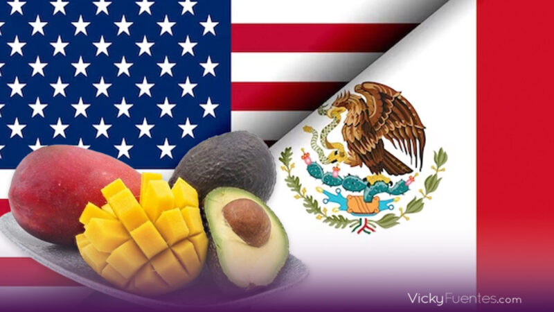 Inspectores del USDA reanudarán inspecciones de aguacate y mango en México