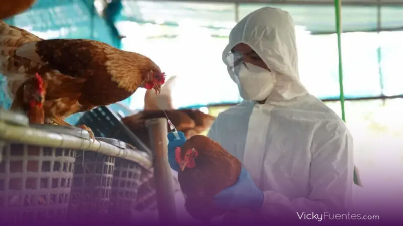 Primer caso de muerte humana por gripe aviar H5N2 en México