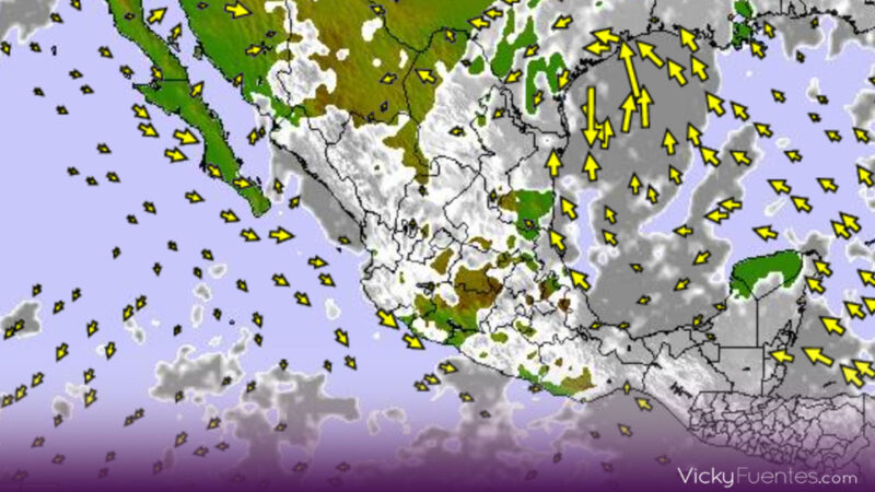 Beryl y Onda Tropical 8: Fuertes lluvias y calor extremo en Puebla