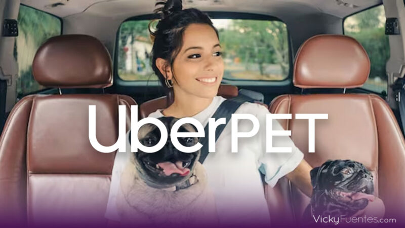 Uber Pet llega a México: viaja con tu mascota en Uber