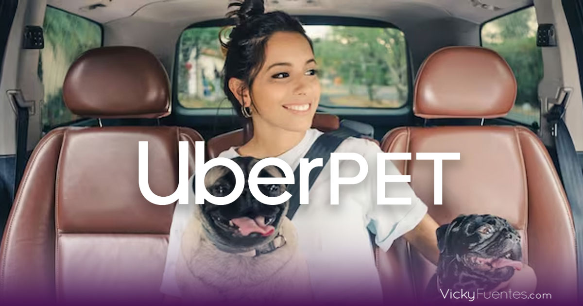 Uber Pet llega a México: viaja con tu mascota en Uber