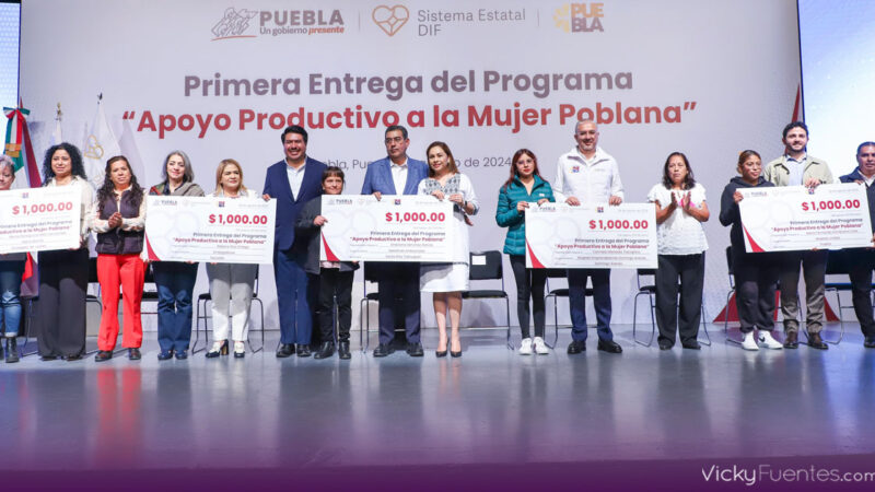 SEDIF fortalece la economía de mujeres poblanas con apoyo productivo