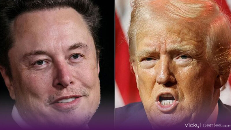 Trump considerará a Elon Musk para su gabinete si gana la presidencia