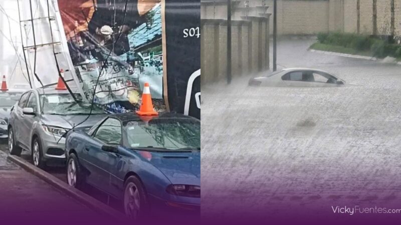 Fuertes lluvias en Puebla causan inundaciones, caída de árboles y espectaculares