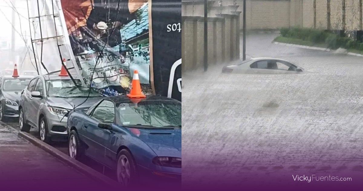 Fuertes lluvias en Puebla causan inundaciones, caída de árboles y espectaculares