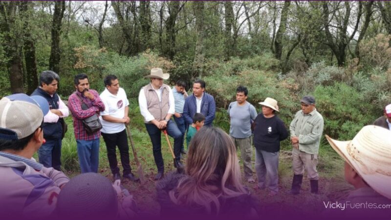 Alejandro Armenta promueve la industrialización del cáñamo en Puebla para un desarrollo sostenible