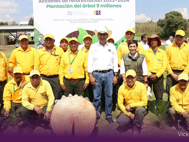 Gobierno de Puebla cumple meta de reforestación con 9 millones de árboles plantados