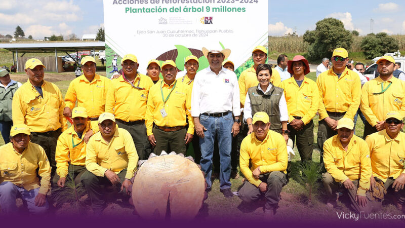 Gobierno de Puebla cumple meta de reforestación con 9 millones de árboles plantados