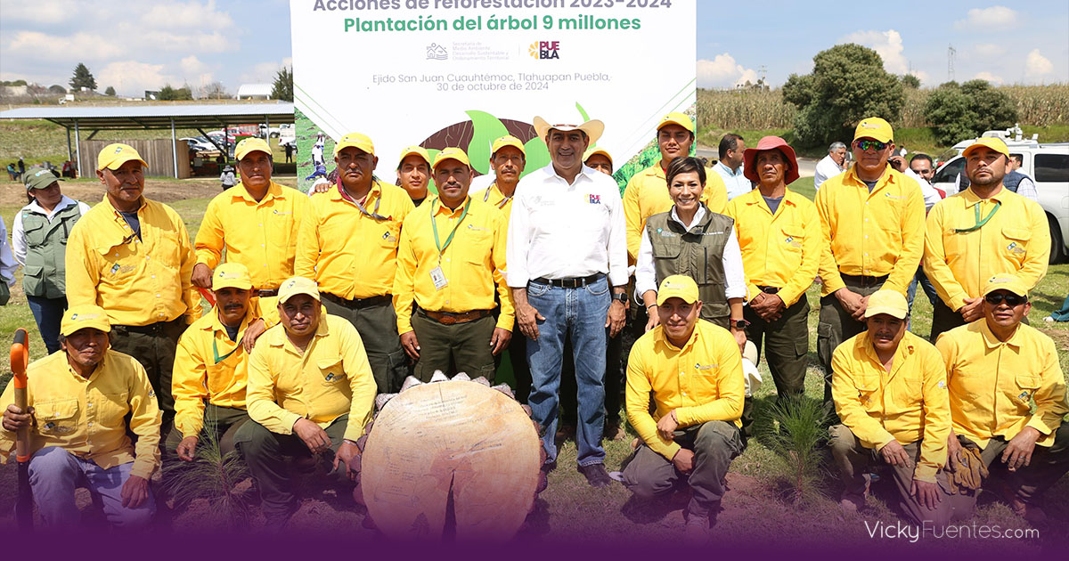 Gobierno de Puebla cumple meta de reforestación con 9 millones de árboles plantados