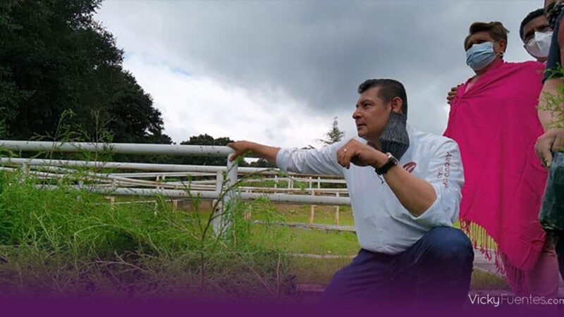 Transformación del campo poblano alineada al programa de soberanía alimentaria de Claudia Sheinbaum