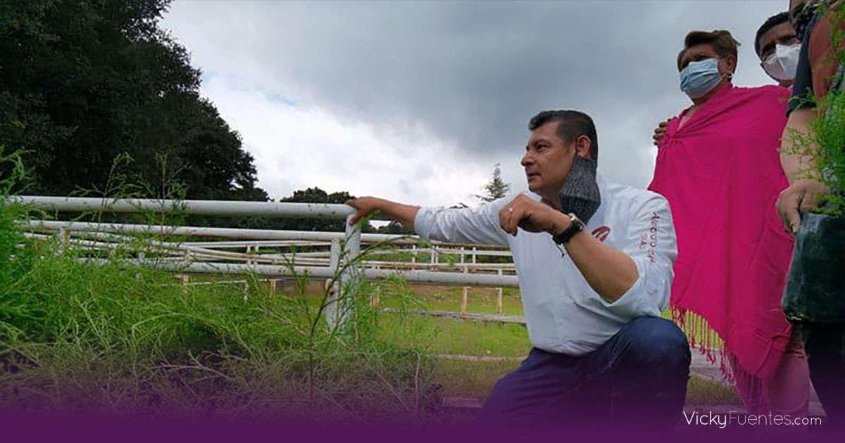 Transformación del campo poblano alineada al programa de soberanía alimentaria de Claudia Sheinbaum