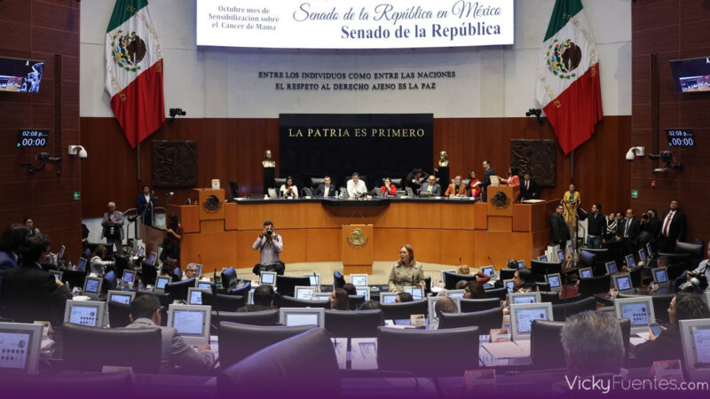 Senado aprueba convocatoria para elecciones judiciales de 2025