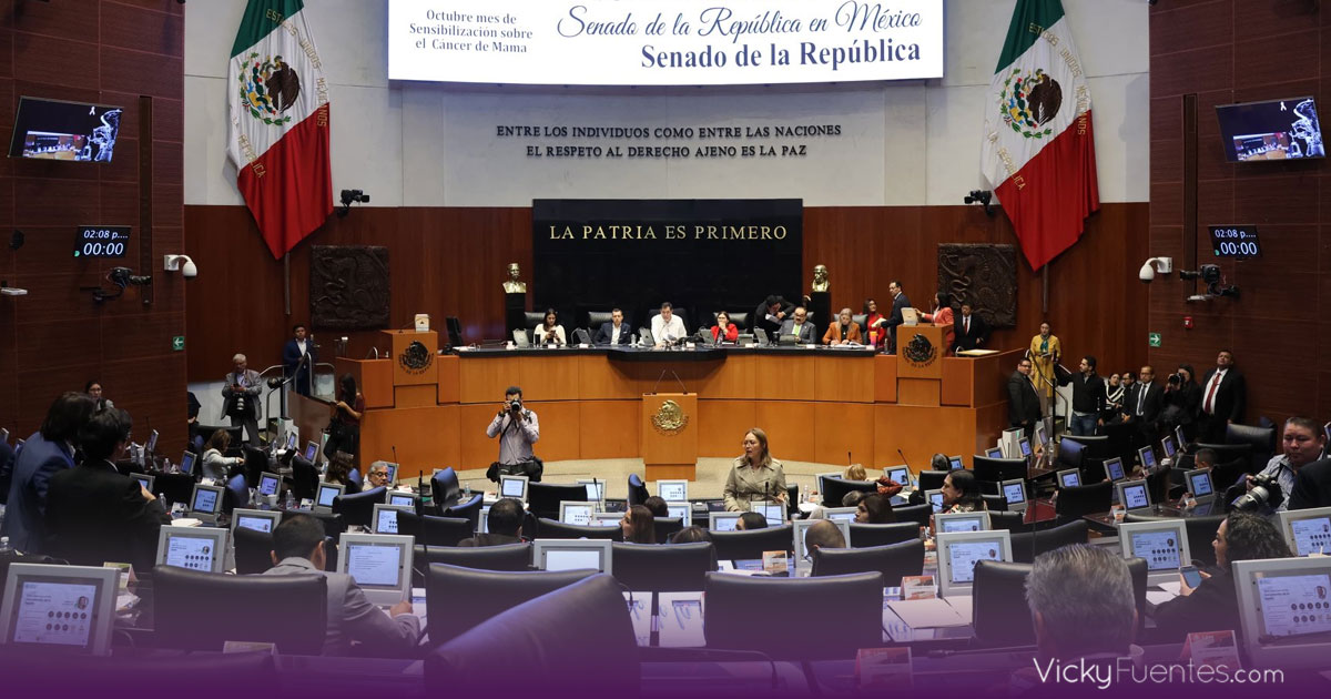 Senado aprueba convocatoria para elecciones judiciales de 2025