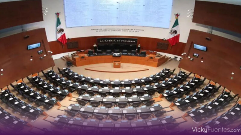 Senado define terna para CNDH; Morena busca unidad y mejor perfil